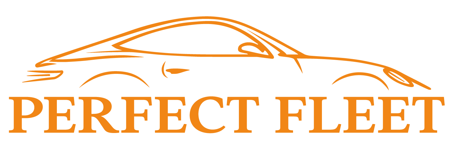 Perfect Fleet